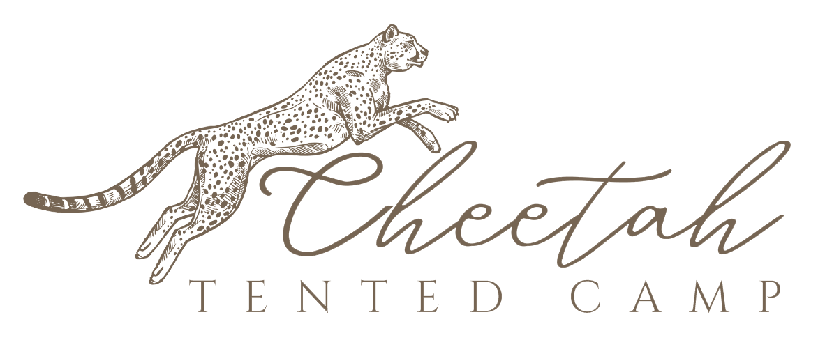 Logo Soroi Cheetah Tented Camp