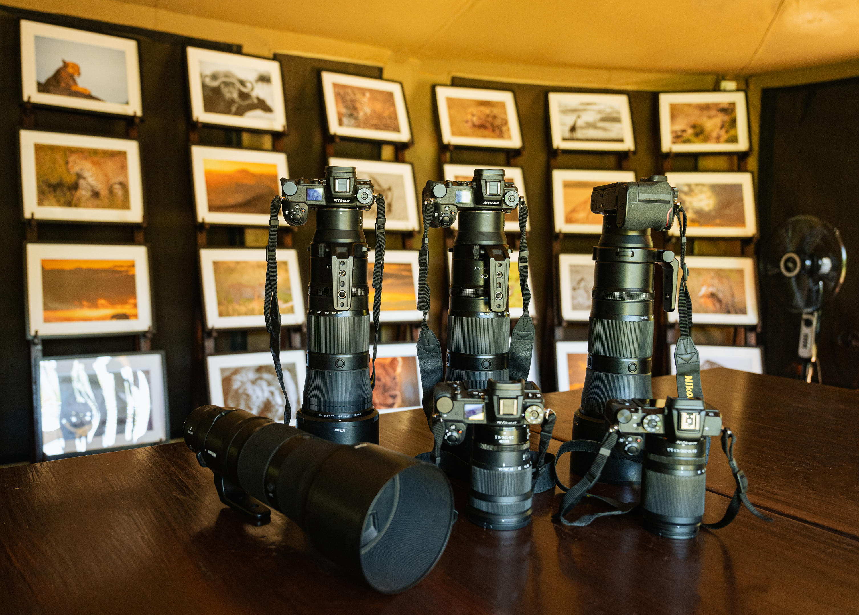 Profesjonalne studio fotograficzne w Mara Bush Camp